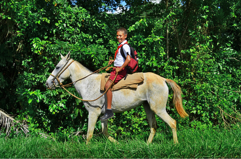 Paseo fotográfico por el Viñales de los cubanos.